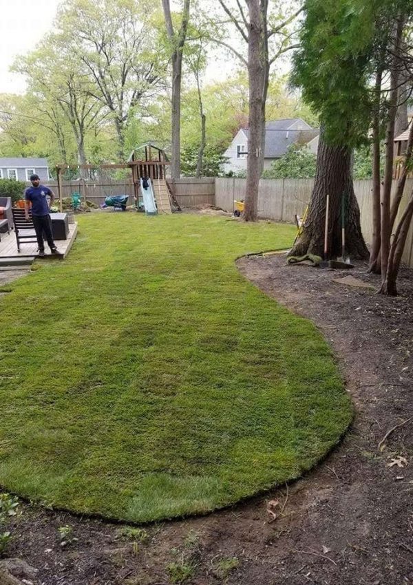 LANDSCAPE JGUDIEL 14