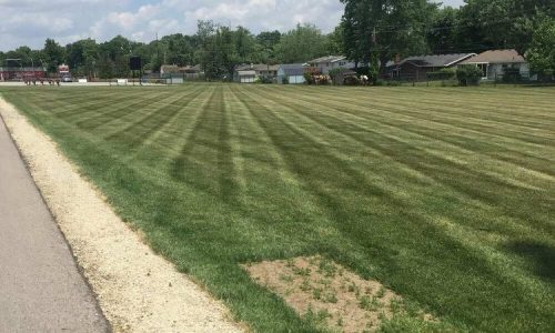 LANDSCAPE JGUDIEL 17