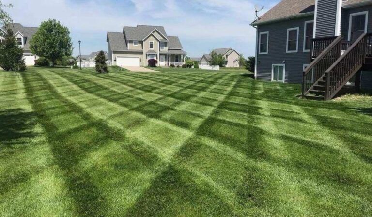 LANDSCAPE JGUDIEL 3 relxe5v3qkrw1rtzldg1n7svkny9fsw0xs0x2jd5co