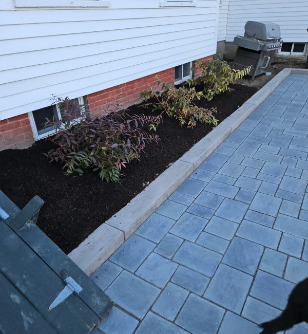 WhatsApp Image 2025 09 03 at 3.44.13 PM 4