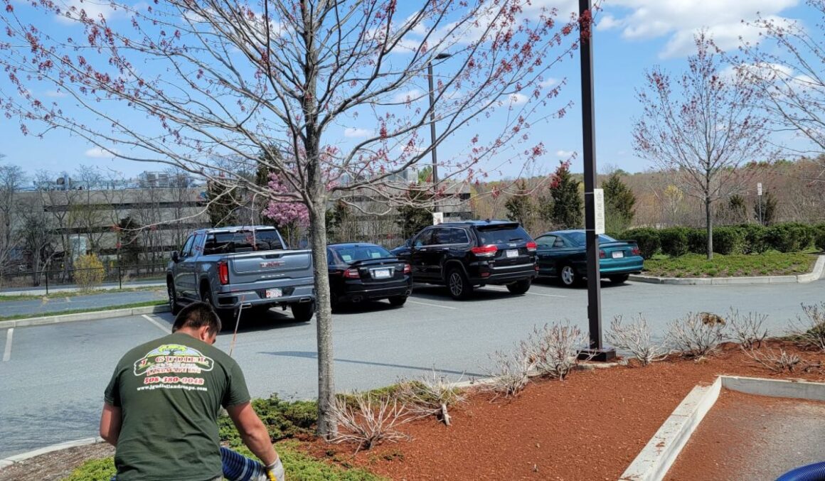 WhatsApp-Image-2025-09-14-at-1.59.09-AM-3-relxe5v3qkrw1rtzldg1n7svkny9fsw0xs0x2jd5co