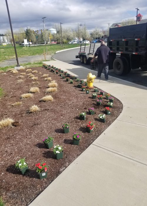 WhatsApp Image 2025 09 14 at 1.59.11 AM