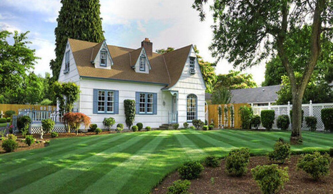 faster_results_500x333-relxe8omb2vr0lpw4wnxcp39ctkd2w77y5zdid8yu0