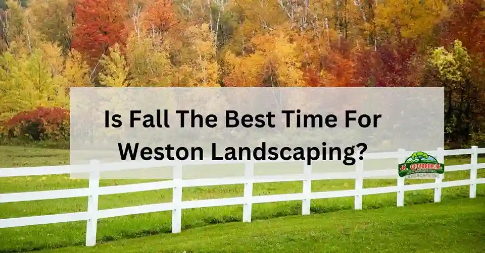Is-Fall-The-Best-Time-For-Weston-Landscaping-1_11zon