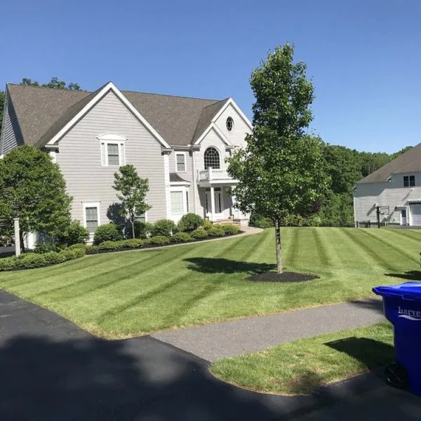 LANDSCAPE JGUDIEL 16 1 1 rik9wzy3517j37yzlhle069u8kij04k5npb1rwl94g