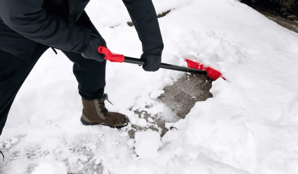 Snow relxe8omb2vr0lpw4wnxcp39ctkd2w77y5zdid8yu0 1160x677 1