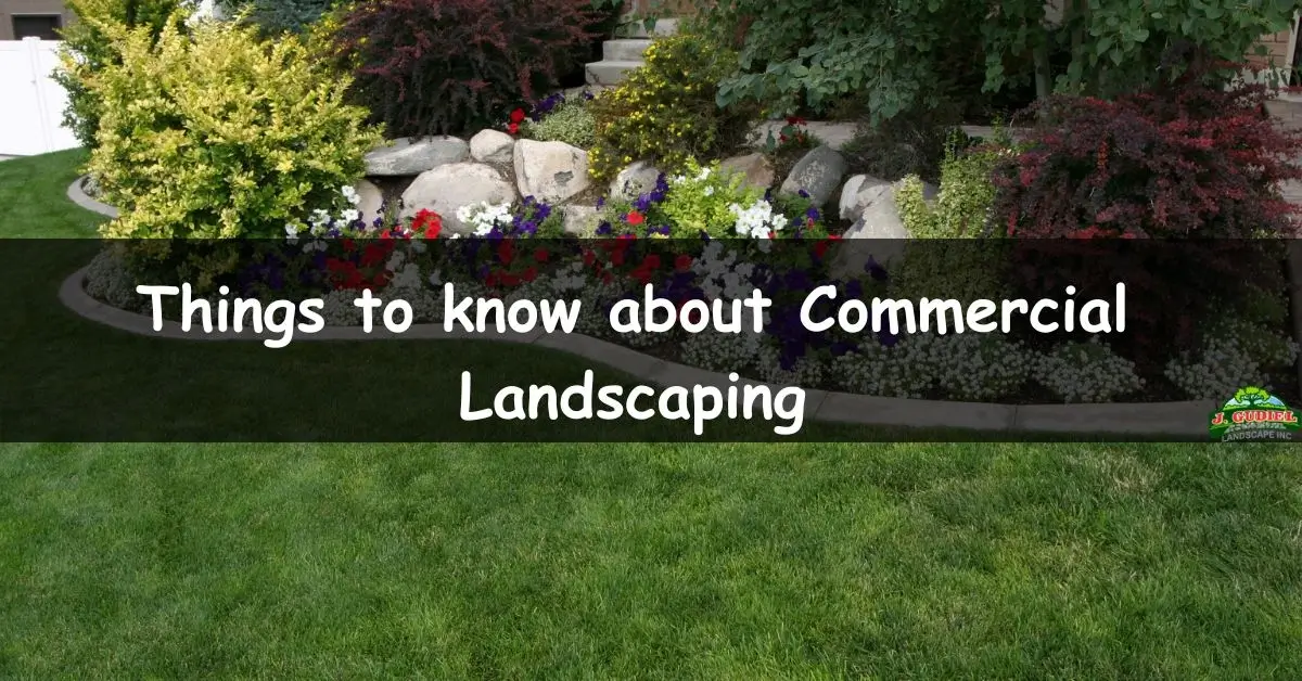 Things to know about Commercial Landscaping