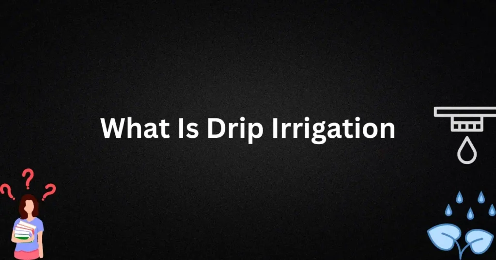 What Is Drip Irrigation 1024x536 1