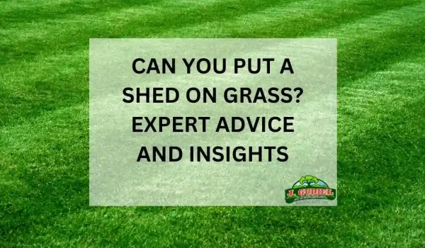 Can-You-Put-a-Shed-on-Grass_-Expert-Advice-and-Insights_11zon