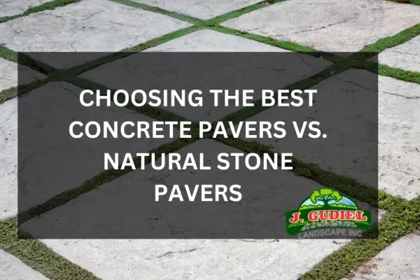Choosing-the-Best_-Concrete-Pavers-vs.-Natural-Stone-Pavers