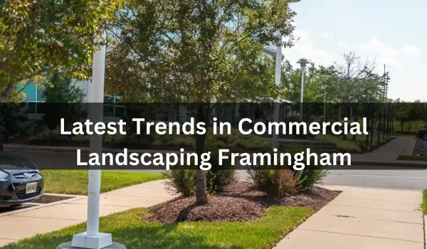 Commercial-Landscaping-Service-in-Framingham-The-Latest-Trends-in-Commercial-Buildings