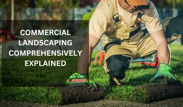 Commercial-Landscaping_-Comprehensively-Explained-1