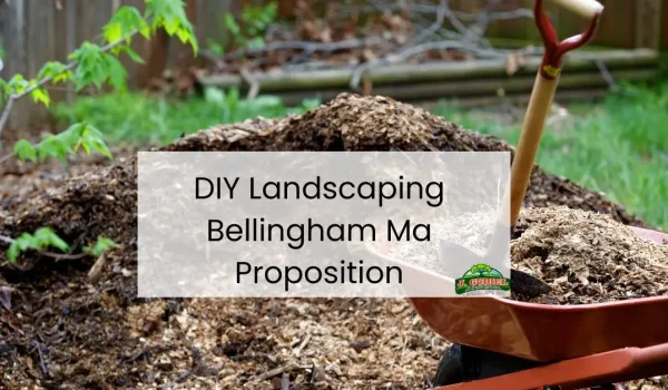DIY-Landscaping-Bellingham-Ma-Proposition-2