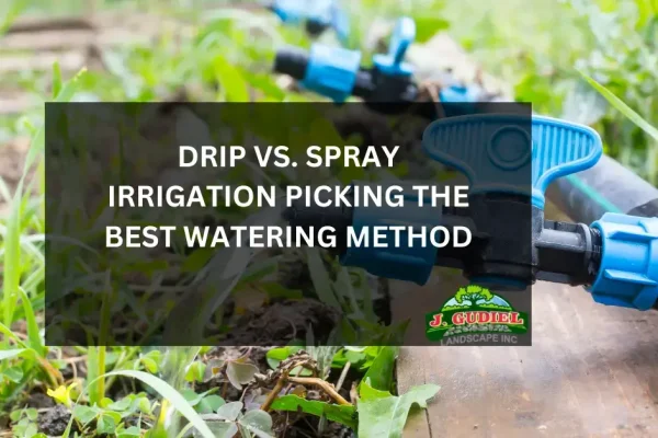 Drip-vs-Spray-Irrigation_-Picking-the-Best-Watering-Method