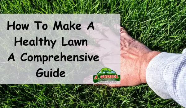 How-To-Make-A-Healthy-Lawn-A-Comprehensive-Guide_11zon-1