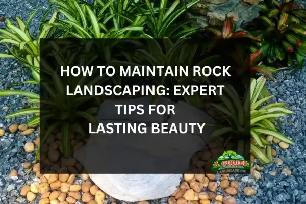 How-to-Maintain-Rock-Landscaping_-Expert-Tips-for-Lasting-Beauty_11zon