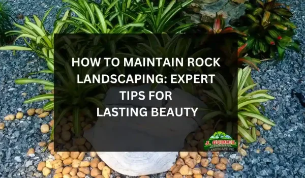 How-to-Maintain-Rock-Landscaping_-Expert-Tips-for-Lasting-Beauty_11zon