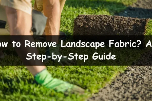 How-to-Remove-Landscape-Fabric_-A-Step-by-Step-Guide