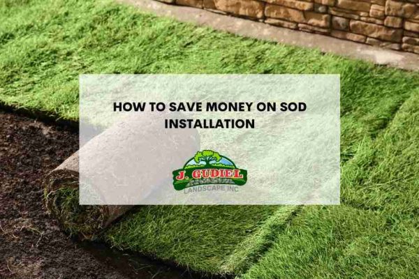 HowtoSaveMoneyonSodInstallation1_11zon