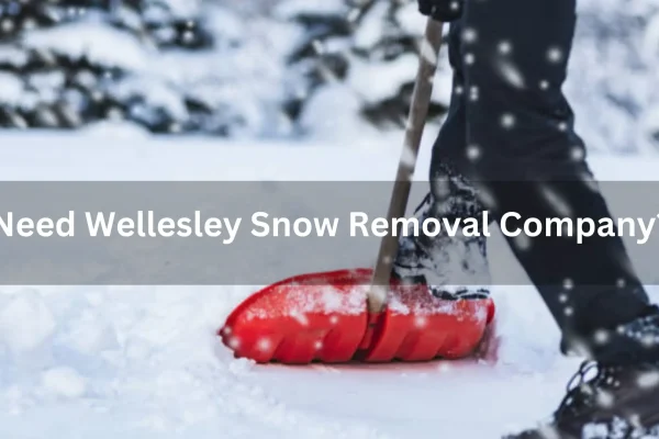 In Need of a Good Wellesley Snow Removal Company