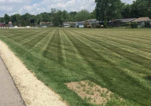 LANDSCAPE-JGUDIEL-17-relxe7qjl9fovep9wkajyy6cdwl3t2fbwmfg6gw3m4