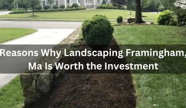 Reasons-Why-Landscaping-Framingham-Ma-Is-Worth-the-Investment-1160x653