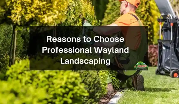 Reasons-to-Choose-Professional-Wayland-Landscaping-1_11zon