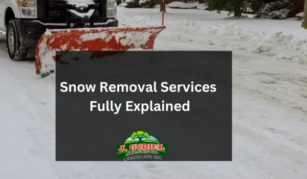 Snow-Removal-Services_-Fully-Explained