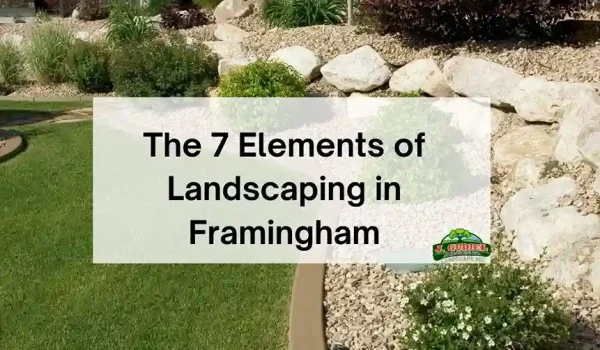 The-7-Elements-of-Landscaping-in-Framingham_11zon