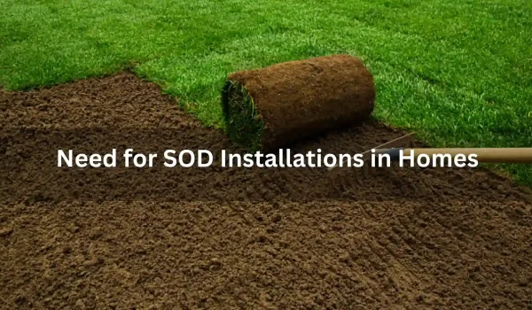The-Need-for-Sod-Installation-in-Homes