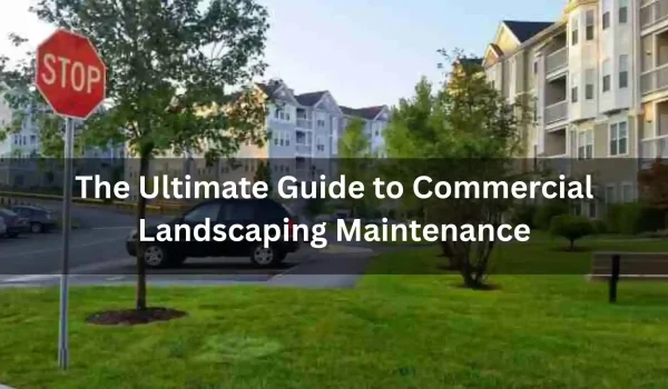 The-Ultimate-Guide-to-Commercial-Landscaping-Maintenance_11zon