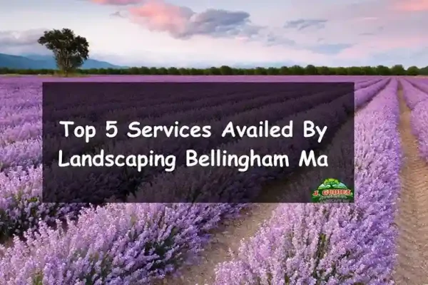 Top-5-Services-Availed-By-Landscaping-Bellingham-Ma_11zon
