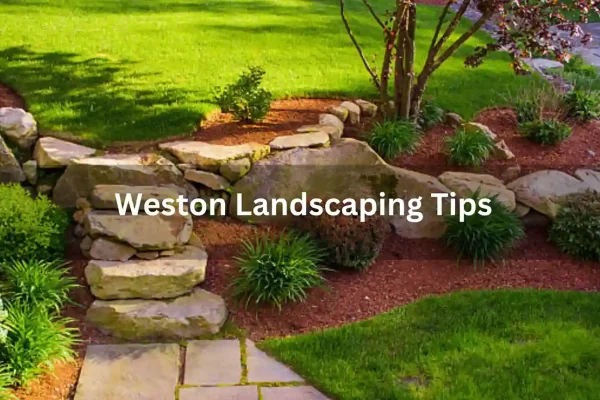 Weston Landscaping Tips You Should Know About