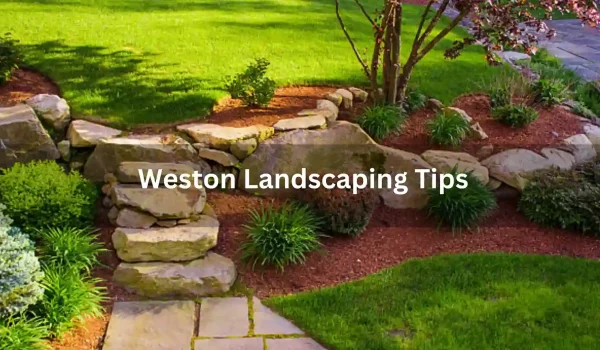 Weston-Landscaping-Tips-You-Should-Know-About