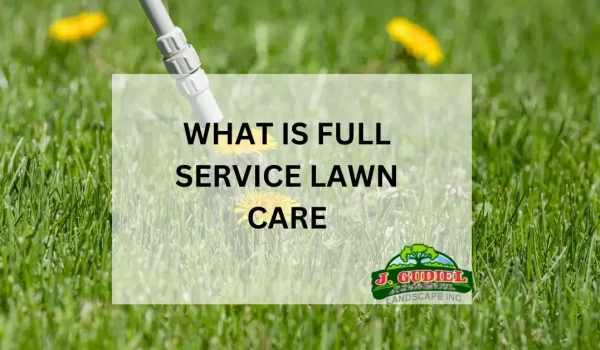 What-is-Full-Service-Lawn-Care_-A-Complete-Guide