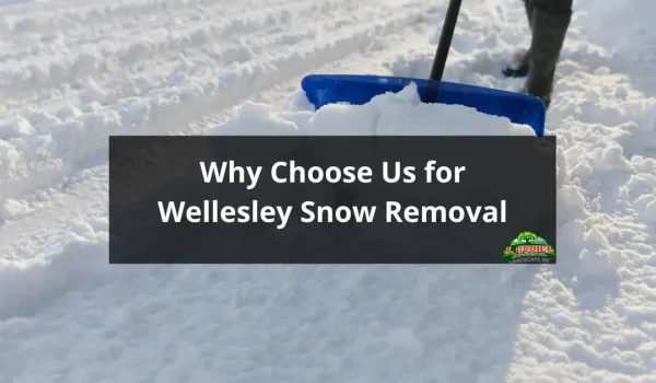 Why-Choose-Us-for-Wellesley-Snow-Removal-1